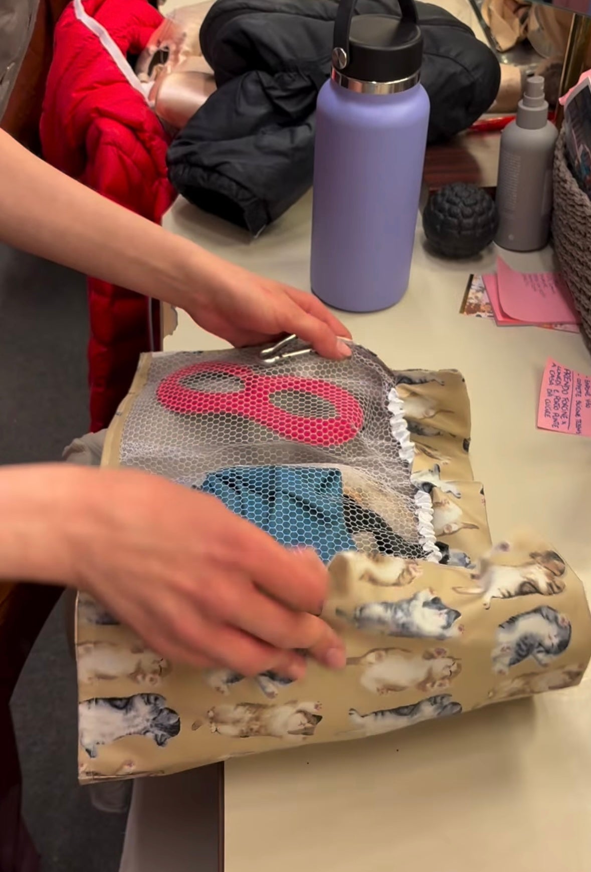 Pointe shoes case "Lazy Cat"