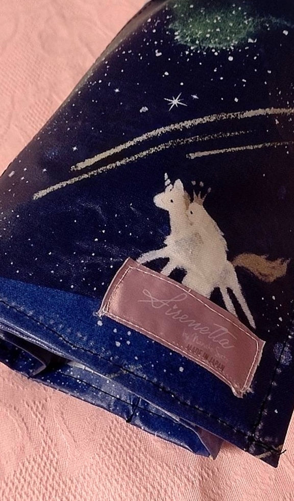 Pointe shoes case "Dreamy Dream"