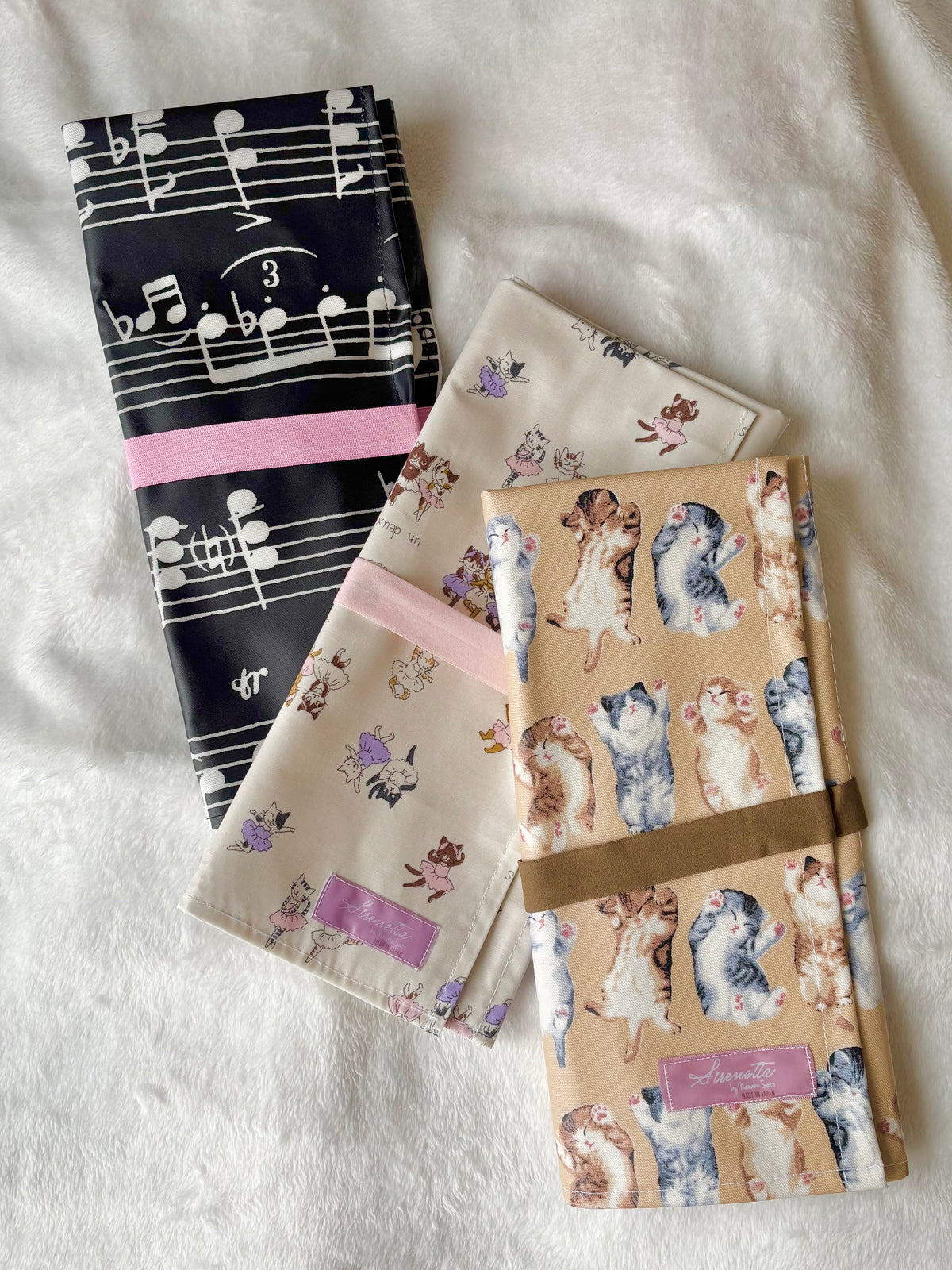 Pointe shoes case "Marching Notes"