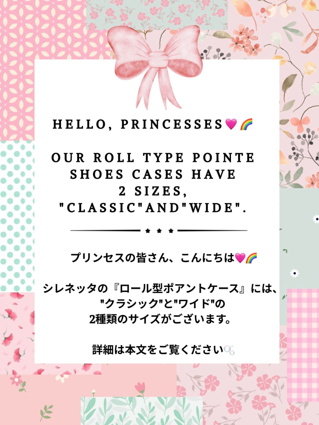 ❤︎Pointe Shoes Case_Apple Hedgehog